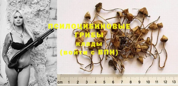 герыч Переславль-Залесский