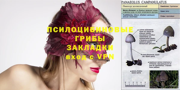 стафф Пересвет