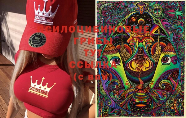 скорость Покачи