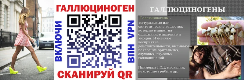 Купить закладки  Черкесск  Галлюциногенные грибы Psilocybe 